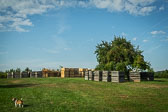 Apple Farm Apple Farm