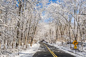 Snow Fall Snow Fall
