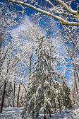 Snow Fall Snow Fall